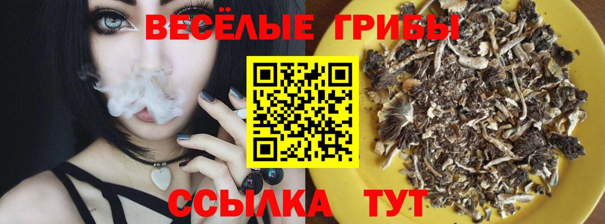 Обнинск  Галлюциногенные грибы Psilocybe  Вход с VPN 